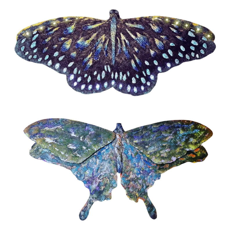 Starry Night Butterfly Kiss